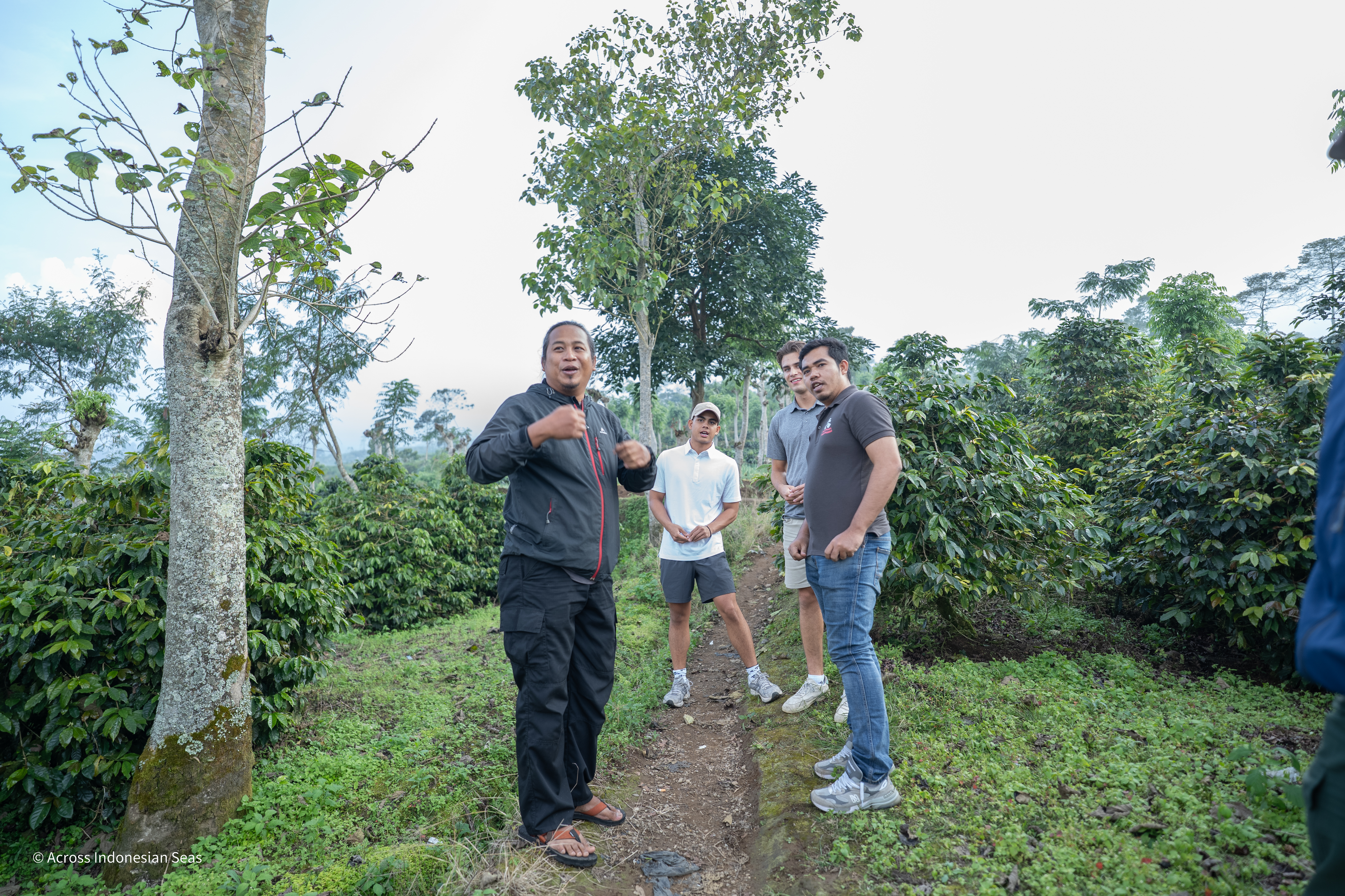 Pusat Kopi Nusantara